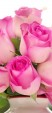 image01_150.jpg